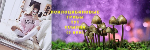 дурь Верхний Тагил